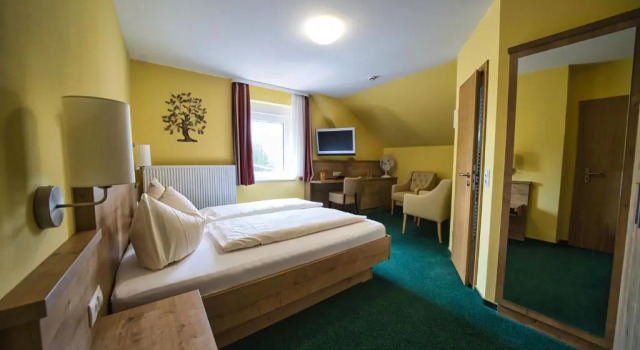 Двухместный номер Standard Hotel Tenner