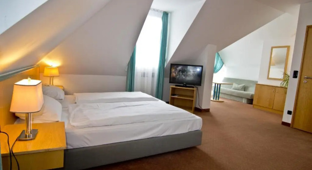 Двухместный номер Standard Hotel Alpha