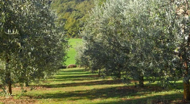 Ca Del Bocca, Reserva ahora Hotel Anghiari 