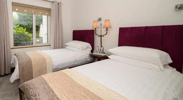 Двухместный номер Deluxe Ashville House B&B Tralee