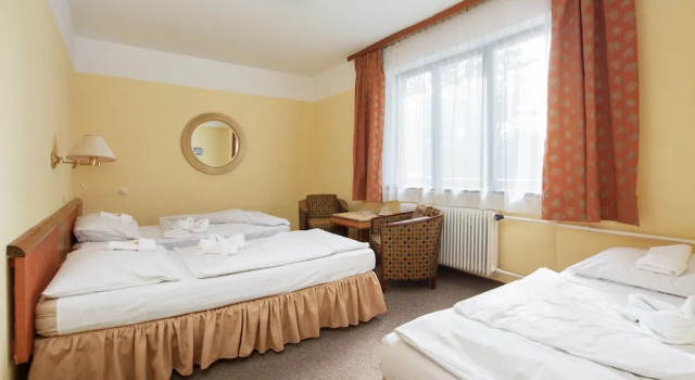 Номер Standard Hotel Medlov Depandance