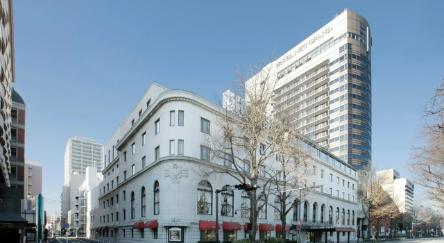 Одноместный номер Standard Hotel New Grand