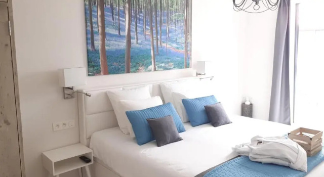 Люкс Deluxe B&B Blue Garden