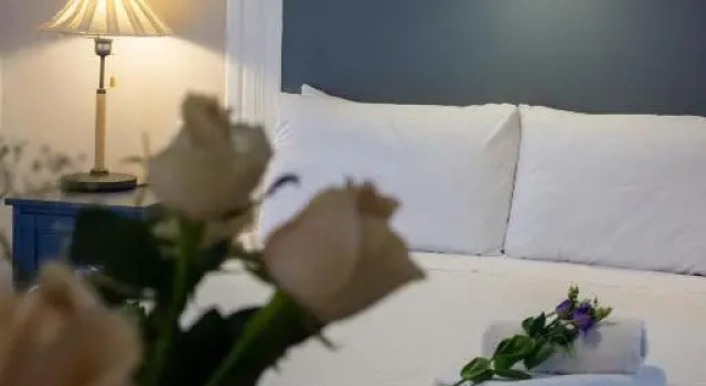 Villa Elaia Suites & Apartments No.3, Book Apartment Gaios Paxoi