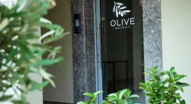 Olive 301