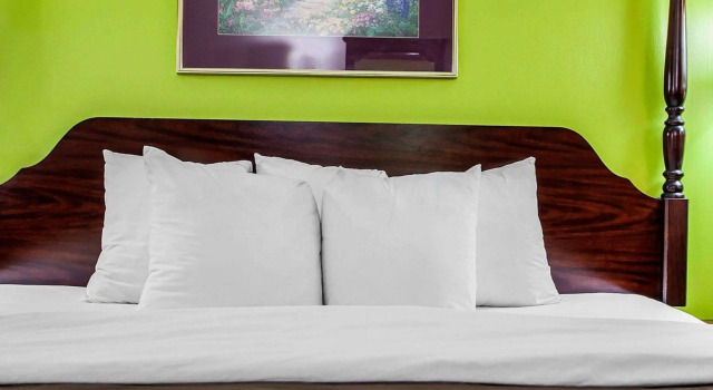 Standard Doppel Zimmer Quality Inn