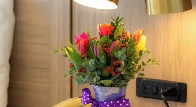 Номер Standard Paradise Plaza Inn