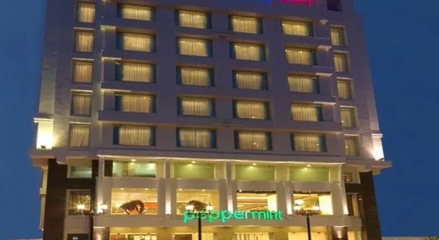 Люкс Standard souvenir peppermint hotel