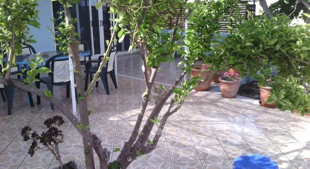 Antonios House, Reserva ahora Hotel Arkhangelos Rodas