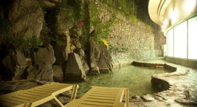 Номер Deluxe Onyang Hot Spring Hotel