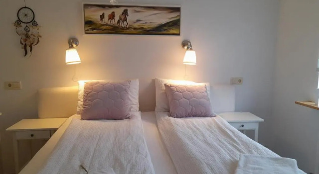 Двухместный номер Standard Country Dream guesthouse