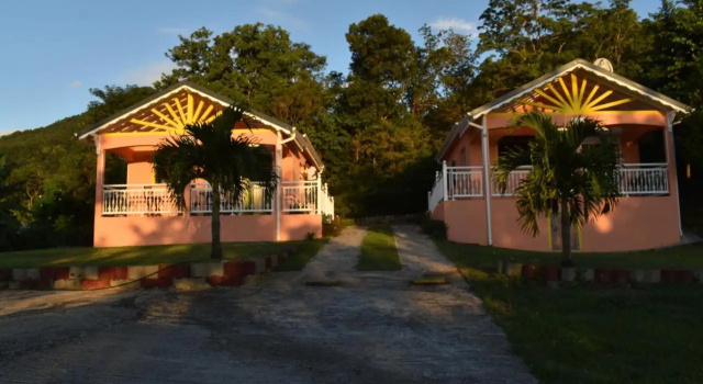 Creole Nest