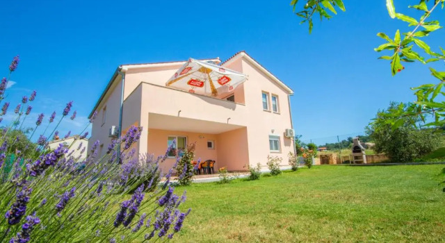 Апартаменты Цокольный этаж Pula Istria Apartments