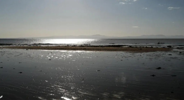 Коттедж Beachcomber Lodge, 3 bedroom, beachside, dog friendly, Dumfries and Galloway, Scotland