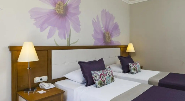 Двухместный номер Standard Club Hotel Felicia Village