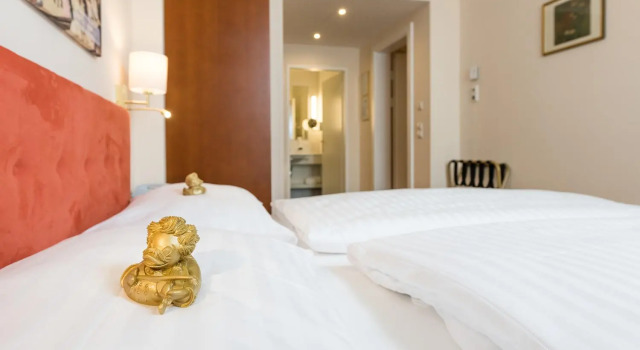 Одноместный номер Standard Hotel Johann Strauss