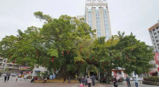 Youxi Hotel, Book Hotel Hotels in Fujian with Parking, Parking