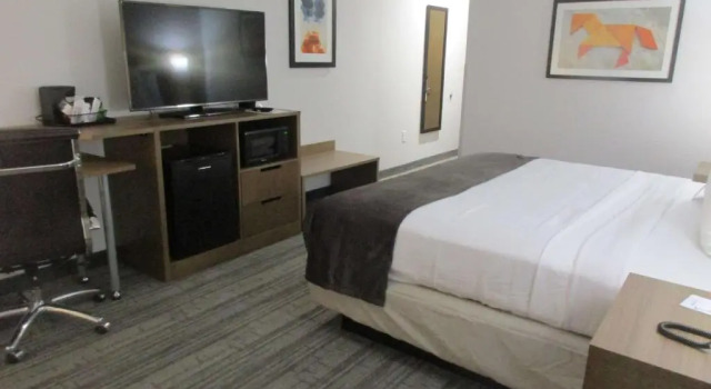 Номер Standard Best Western Green Oak Inn & Suites