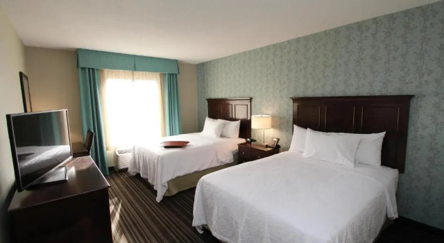Четырёхместный номер Standard Hampton Inn & Suites by Hilton St. Johns Airport