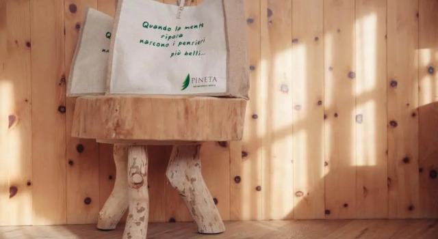 Номер Superior Pineta Nature Resort - Wellness & SPA