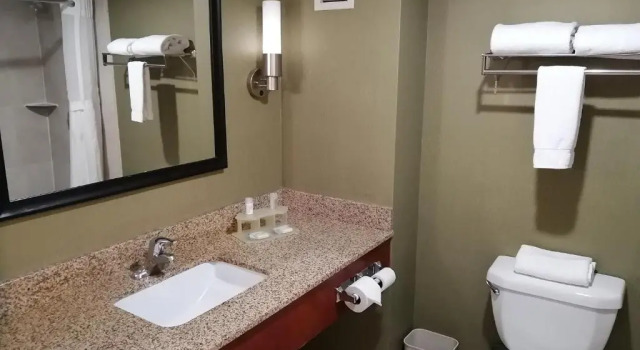 Номер Standard Holiday Inn Express & Suites Toluca Zona Aeropuerto by IHG
