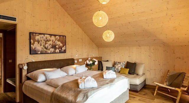 Коттедж Deluxe VILA VITA Pannonia