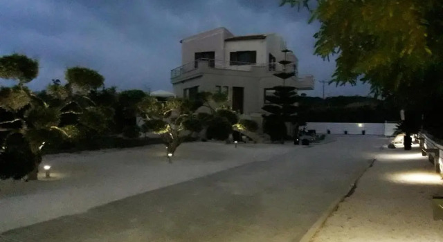 Студия 3 Olive Trees