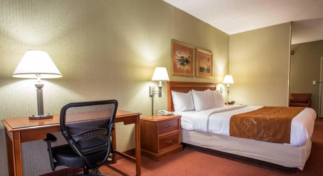 Люкс Comfort Suites Northlake