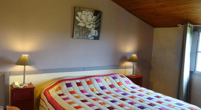 Номер Comfort Hôtel Mas de lEspaïre