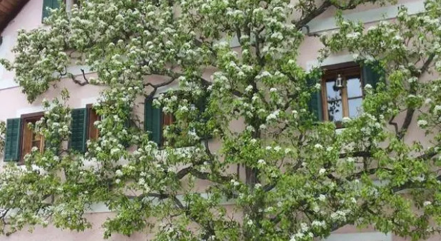 Apartment Luise, Book Apartment Hallstatt 