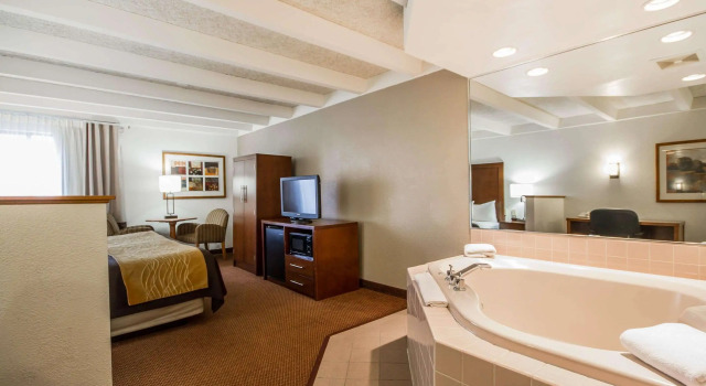 Двухместный люкс Comfort Inn & Suites Madison - Airport