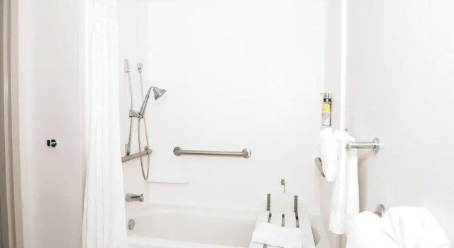 Двухместный люкс c 1 комнатой Holiday Inn Express Hotel & Suites Tampa-USF-Busch Gardens by IHG