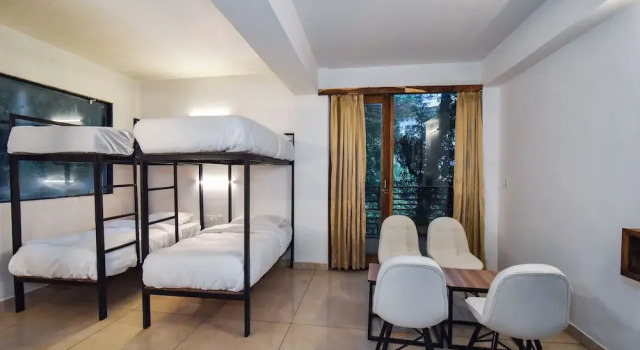 Кровать в общем номере LA Riqueza Koala Inn Mcleod Ganj - Near to Dalai Lama Temple & Mall Road