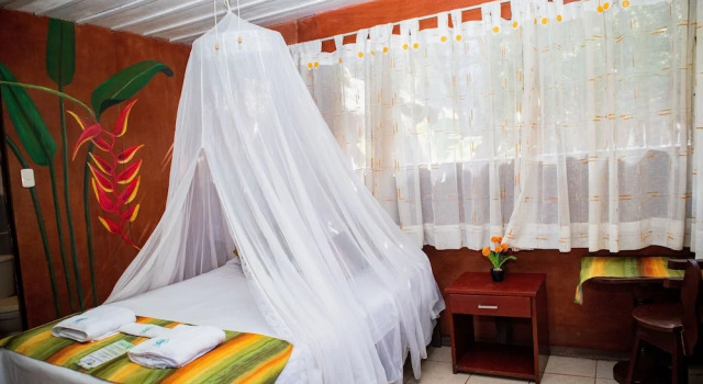 Одноместный номер Standard с видом на сад Avatar Amazon Lodge & Canopy Park