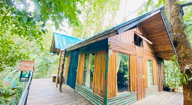 Бунгало Khao Sok Tree House Resort