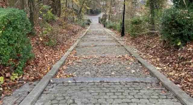 Vakantiewoning De Kassei Geraardsbergen max 12personen, Prenota Hotel Geraardsbergen 