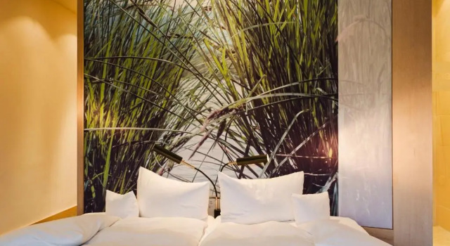 Номер Deluxe Hotel Kaufmann