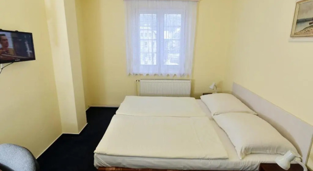 Номер Standard Hotel U Jezírka