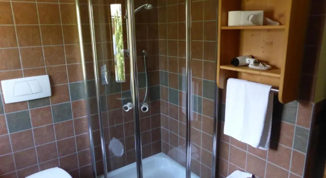 Номер Standard Hotel Dolomiten