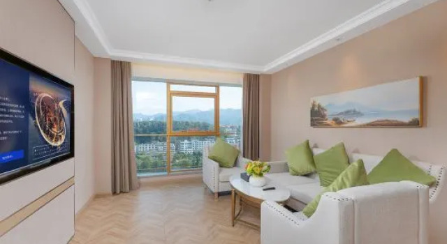 Люкс Deluxe Vienna Hotel (Sanming North Station)