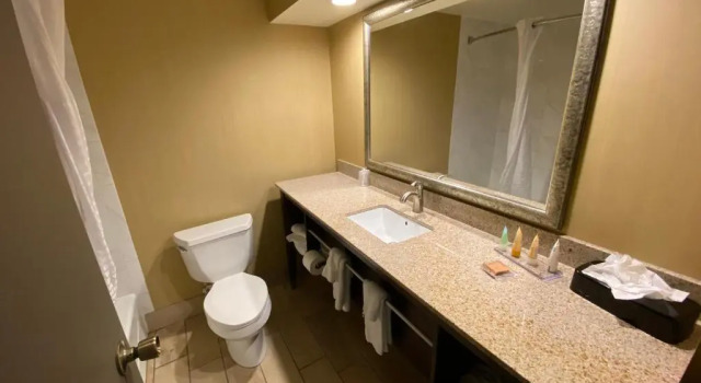 Двухместный номер Deluxe Wyndham Garden Ann Arbor