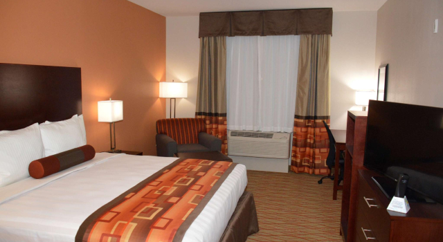 Standard- dobbelt værelse Spring Inn & Suites
