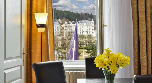 Апартаменты c 1 комнатой с балконом и с видом на город Apartments Central Park Marienbad