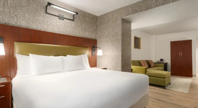 Двухместный полулюкс DoubleTree by Hilton New York Downtown