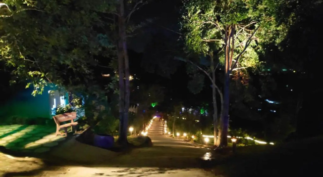 Номер Deluxe BIỂN ĐỒI Bungalow