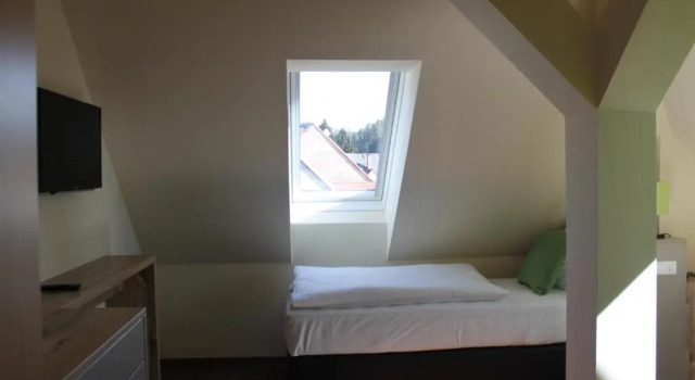 Одноместный номер Standard Hotel Braun