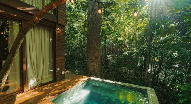 Номер Standard Casa Bonita Tropical Lodge