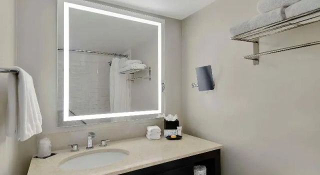 Номер Mobility Accessible Hotel Tampa Riverwalk
