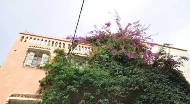Dar Lamane