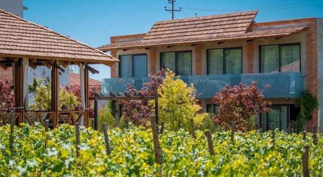 Giuaani Winery